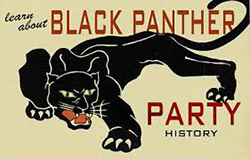 Black Panther Party Graphic