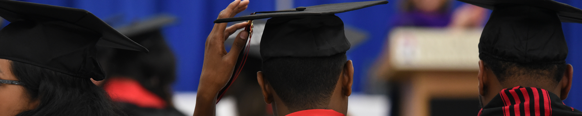 graduation hats